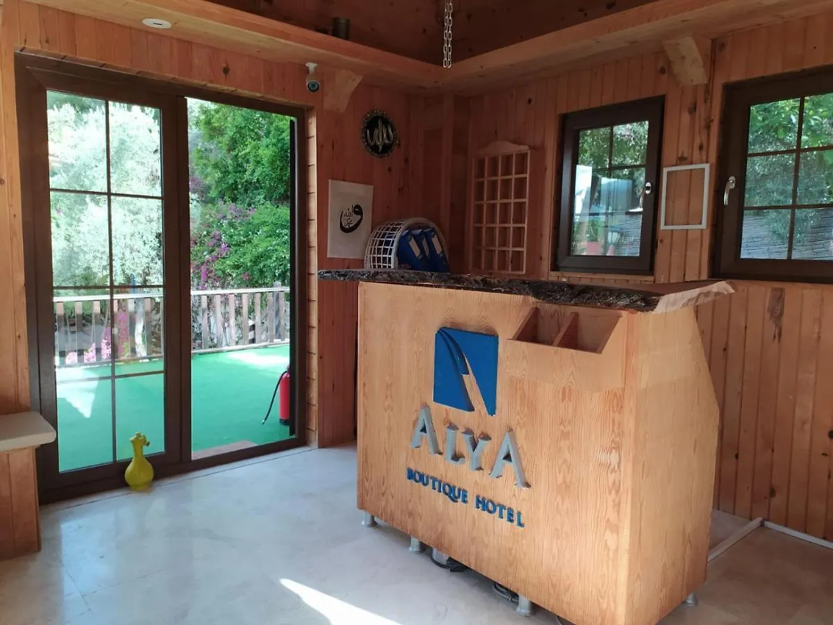 Alya Hotel Goecek Turecko