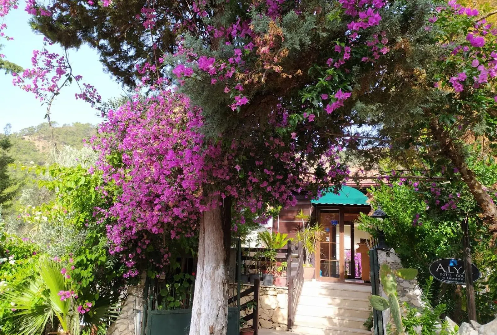 Alya Hotel Goecek 5*, Gocek (Fethiye) Turkey