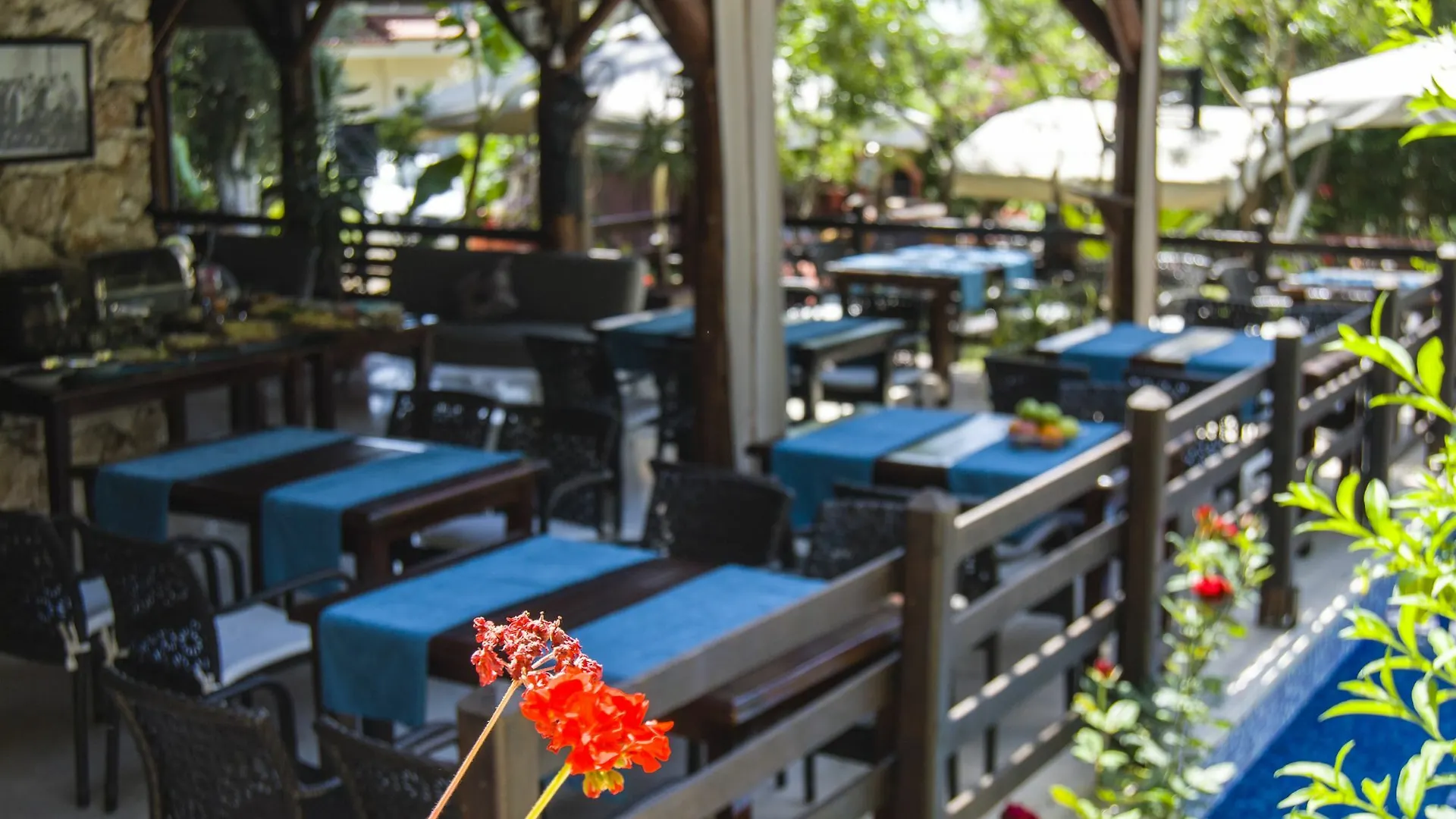 Alya Hotel Goecek 5*, Gocek (Fethiye)