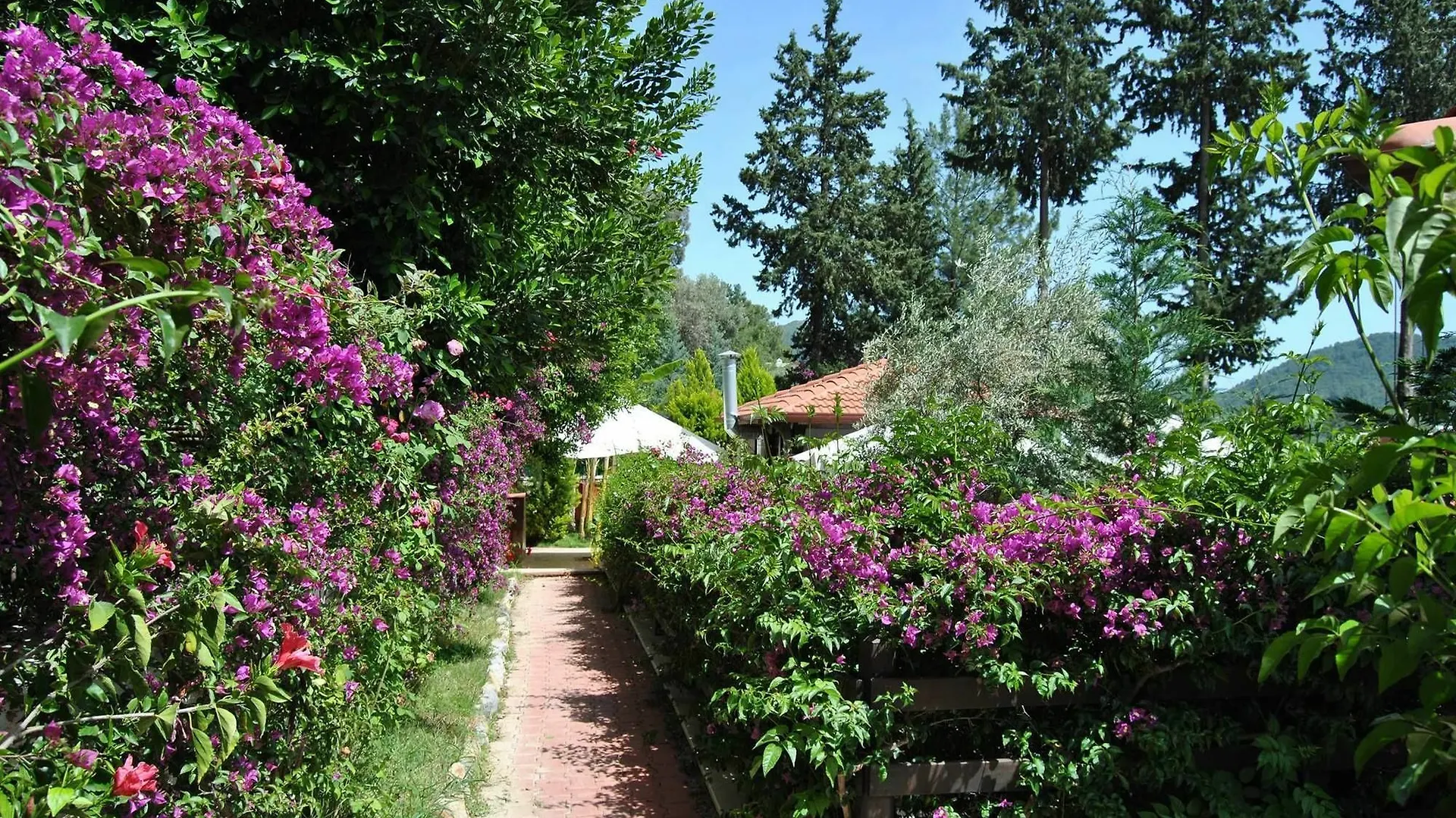 Alya Hotel Goecek 5*, Gocek (Fethiye) Turkey